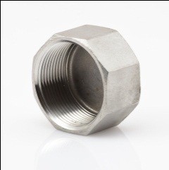 316 Stainless Steel Hex Cap