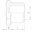 316 Stainless Steel Hex Plug dimensions diagram